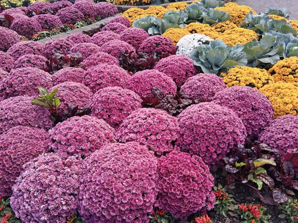 Répartiteur de chauffage : équité et économies