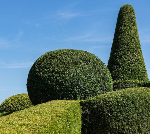 les nouvelles idées d'aménagement pour créer un coin détente dans votre jardin