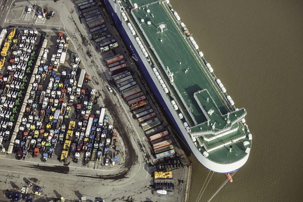 Comment transporter des plantes d'intérieur sur de longues distances ?