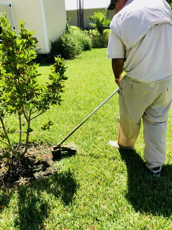 Pourquoi utiliser un désherbeur écologique ?